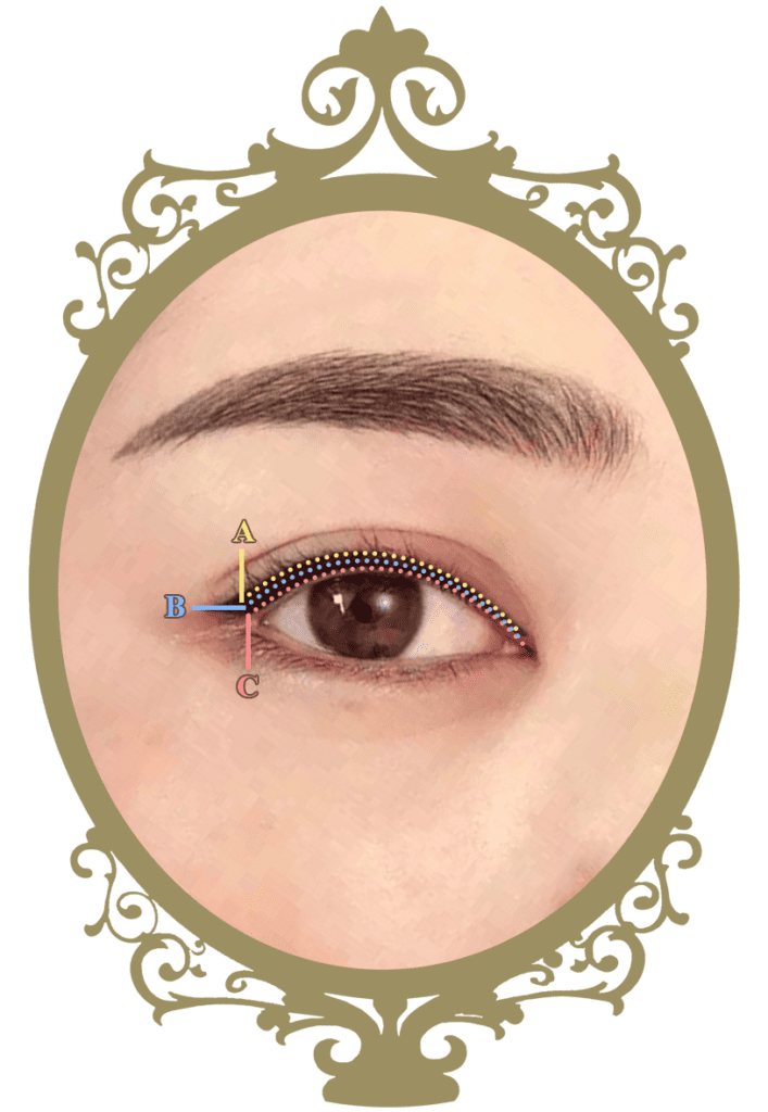 Eyelash, mascara, cosmetics, eye liner, extensions, eye shadow.