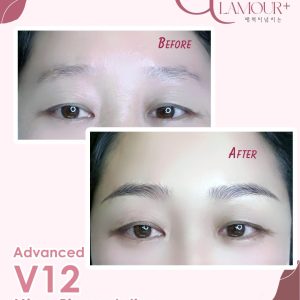 V12 Advanced Micro Pigmentation Embroidery First Trial - $1280 (UP $2,980)